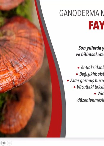 Gano Excel Bakım Ürünleri 
*** Bir tanesinin fiyatı*** - Görsel 4