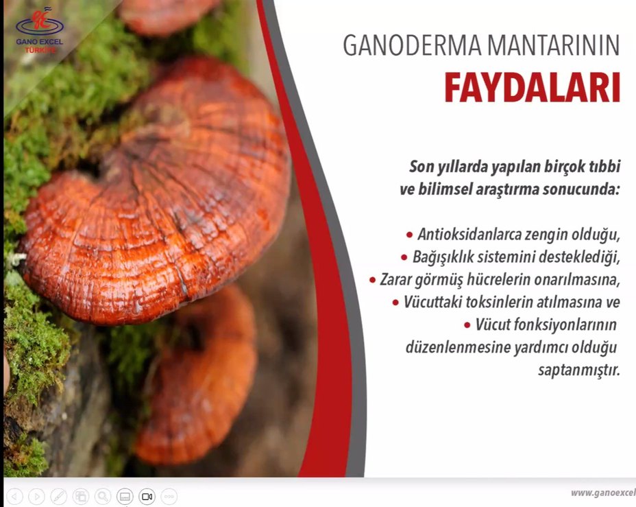 Gano Excel Bakım Ürünleri 
*** Bir tanesinin fiyatı*** - Görsel 4