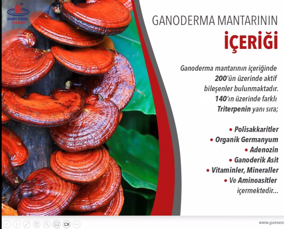 Gano Excel Bakım Ürünleri 
*** Bir tanesinin fiyatı*** - Görsel 5