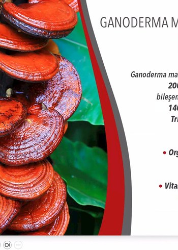 Gano Excel Bakım ürünleri - Görsel 7