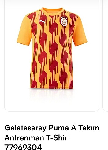 Galatasaray Puma A Takım Antrenman T-Shirt 77969304 