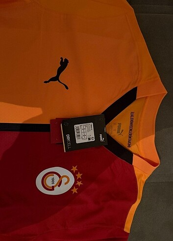 Galatasaray profesyonel parçalı forma 