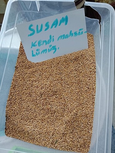  Susam