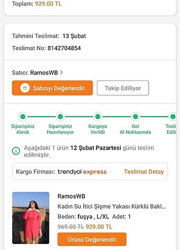 Diğer Pembe Kapitone Mont