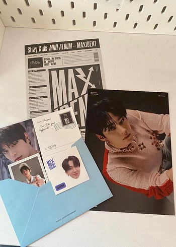 diğer Beden çeşitli Renk maxident album