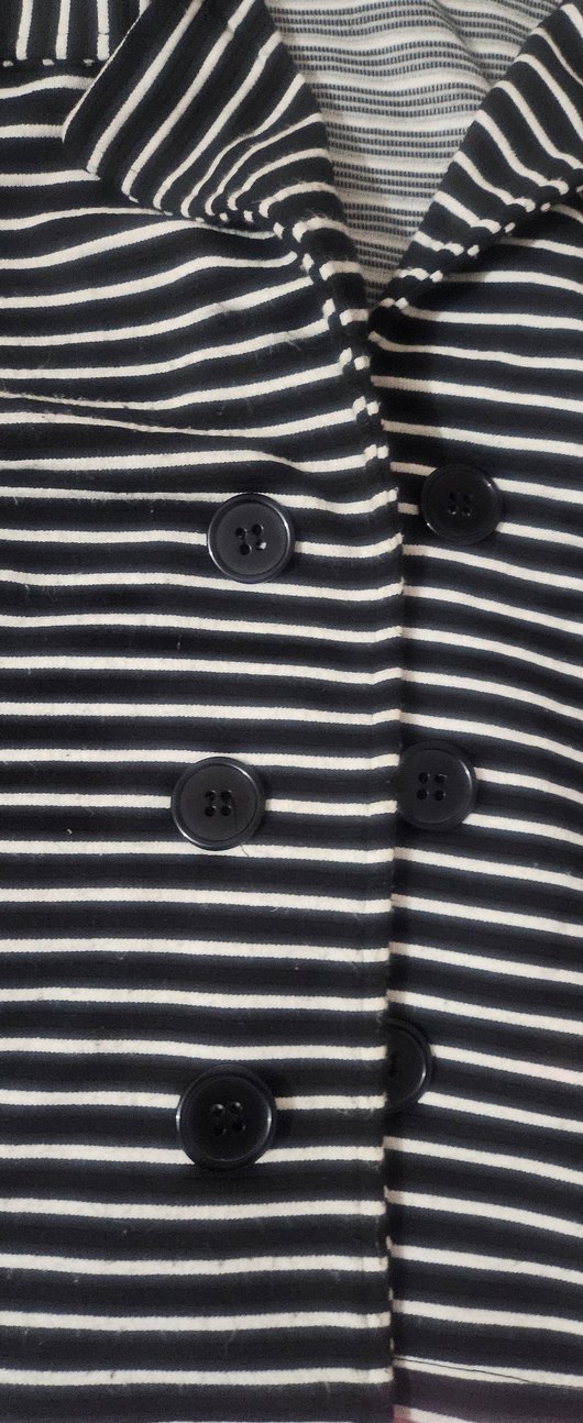 Düğmeli Siyah Zebra Desenli Kadın Ofis Ceketi - Görsel 4