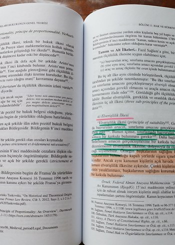 İnsan Hakları Hukuku - Kemal Gözler - Görsel 6