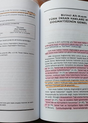 İnsan Hakları Hukuku - Kemal Gözler - Görsel 8