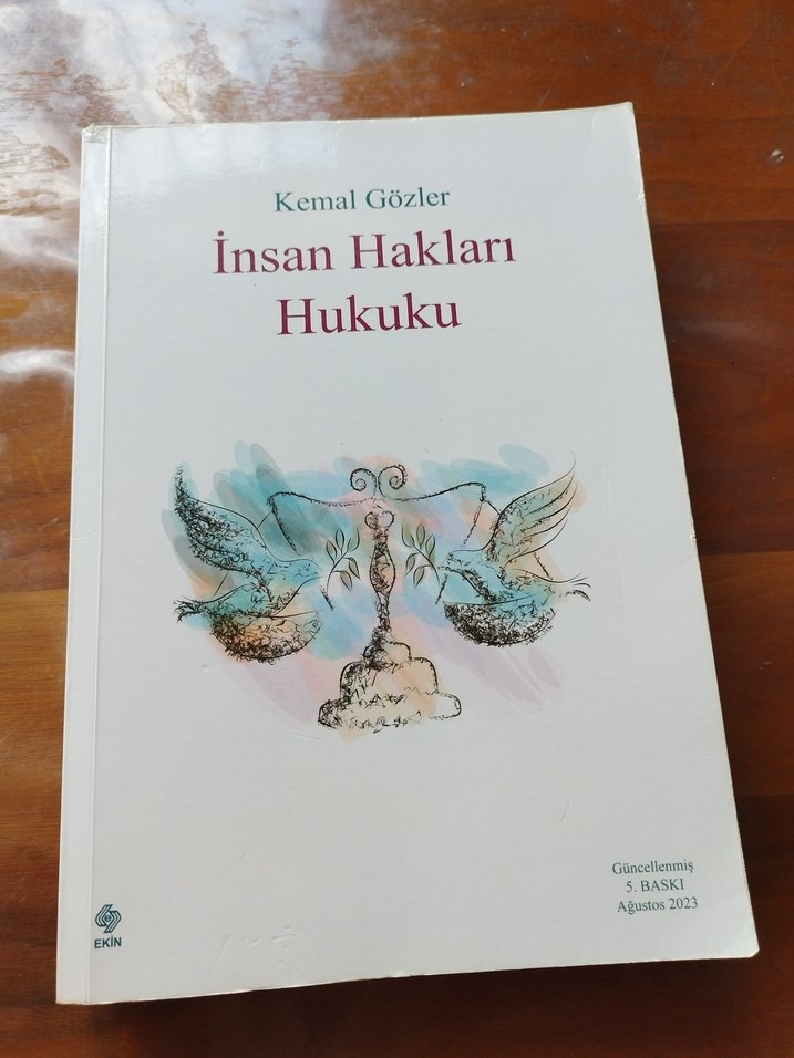 İnsan Hakları Hukuku - Kemal Gözler - Görsel 3