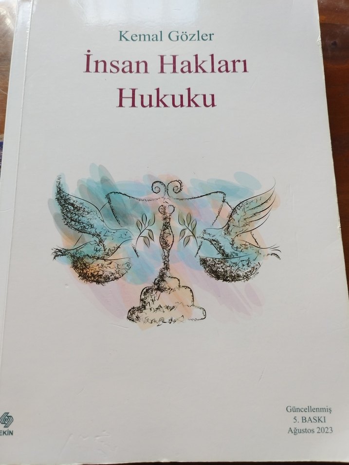 İnsan Hakları Hukuku - Kemal Gözler - Görsel 2