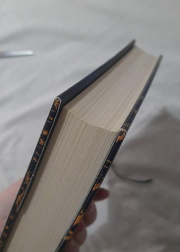 Gilded - Marissa Meyer - Görsel 4