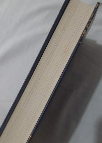 Gilded - Marissa Meyer - Görsel 2