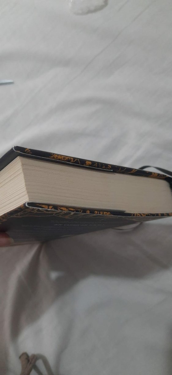 Gilded - Marissa Meyer - Görsel 5