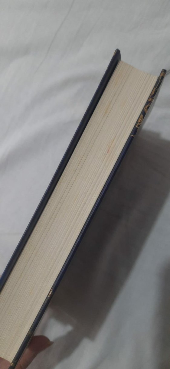 Gilded - Marissa Meyer - Görsel 2