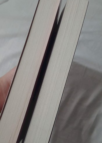 Altın Kanatlar & Kızıl Gökler - Jaymin Eve - Görsel 3