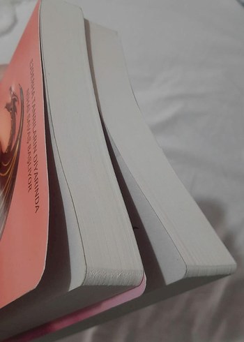 Altın Kanatlar & Kızıl Gökler - Jaymin Eve - Görsel 2