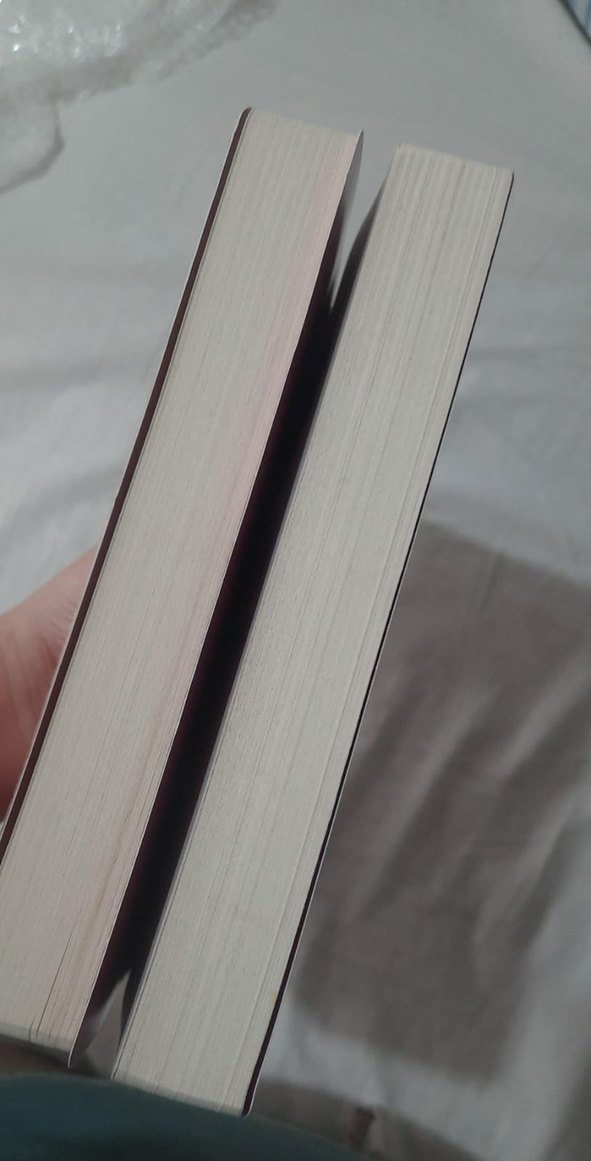 Altın Kanatlar & Kızıl Gökler - Jaymin Eve - Görsel 3