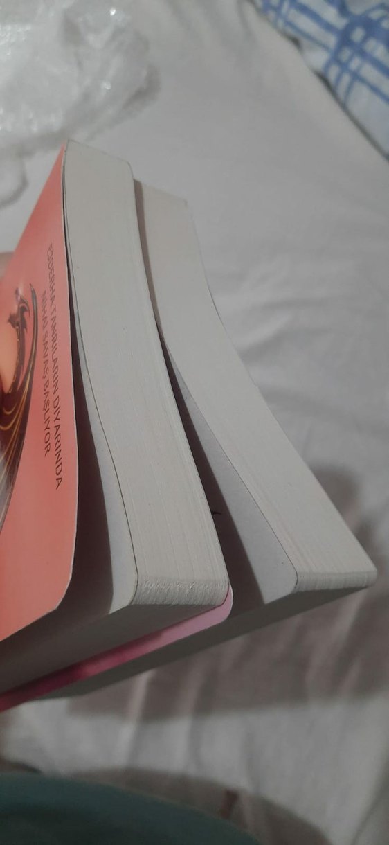 Altın Kanatlar & Kızıl Gökler - Jaymin Eve - Görsel 2