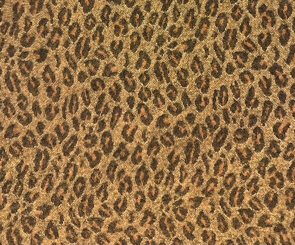 Leopar pantolon - Görsel 4