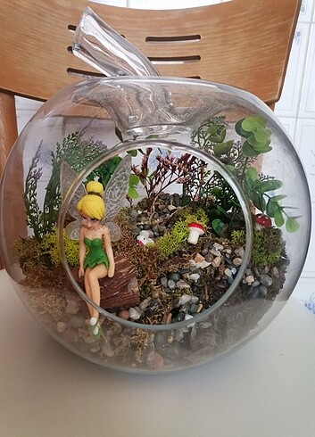 Cam fanus - Görsel 2