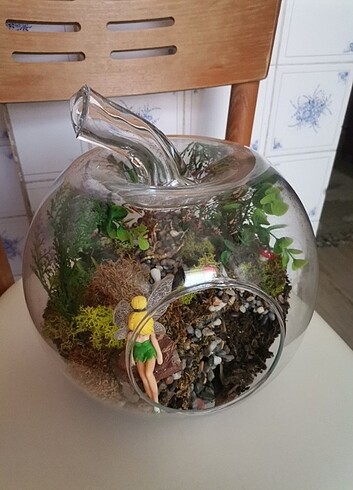 Cam fanus - Görsel 3