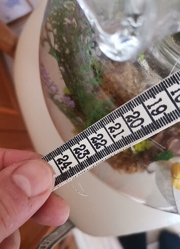 Cam fanus - Görsel 5