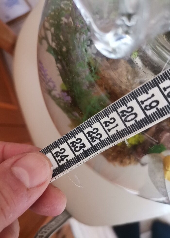 Cam fanus - Görsel 5