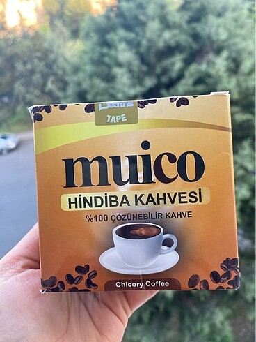 Hindiba kahvesi muico