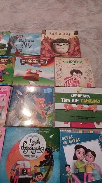 Beden Renk 12 adet1ci sınıf okumaya geçiş kitapları