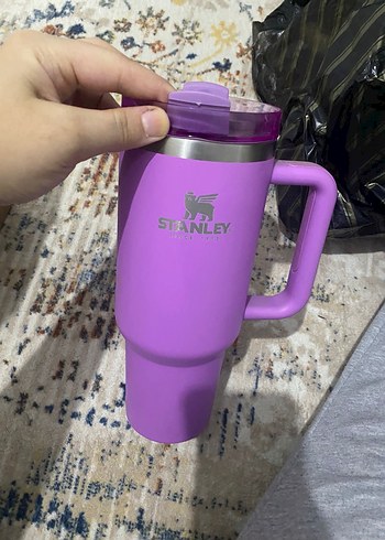 Stanley Mor Çocuk Termosu 7 Oz - Görsel 2