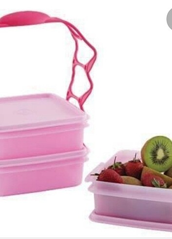 Tupperware piknik saklama taşıma sapı