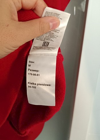 Wrangler Renkli Kapüşonlu Sweatshirt - Görsel 5