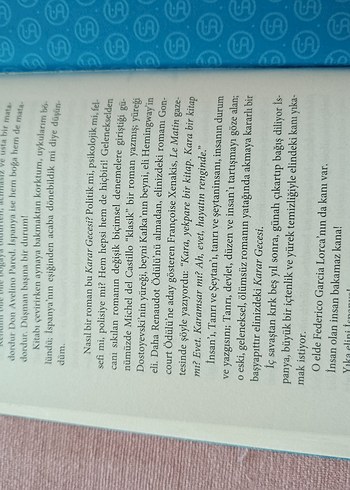 Karar Gecesi - Michel Del Castillo - Görsel 7