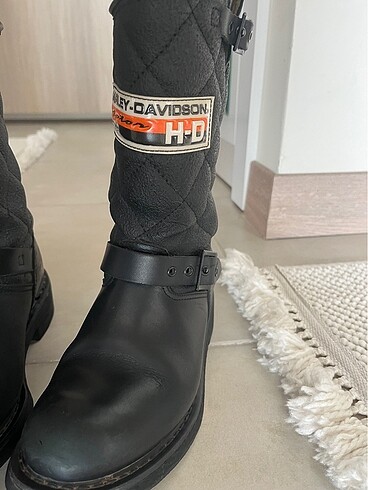 36 Beden Harley davidson bot