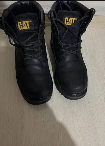 Cat Bot Orjinal - Görsel 3