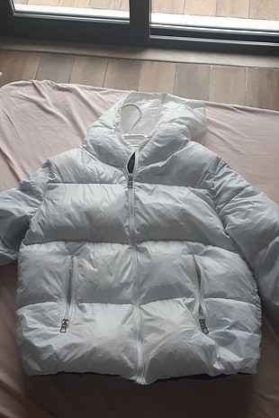 bershka mont