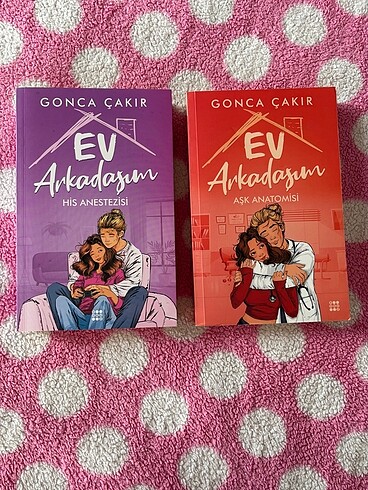 Ev arkadaşım
