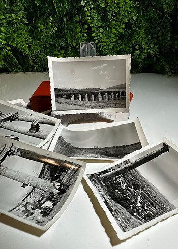 Siyah Beyaz Fotoğraf Negatif - Görsel 6