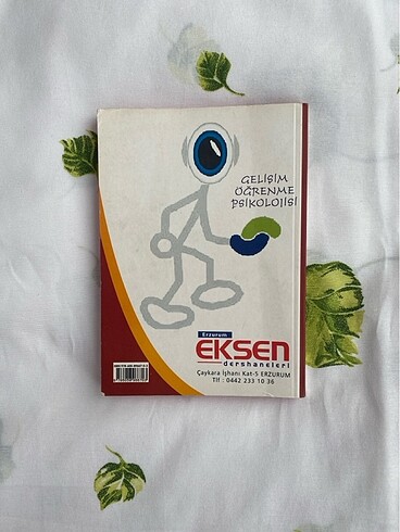 Gelişim Öğrenme Psikolojisi