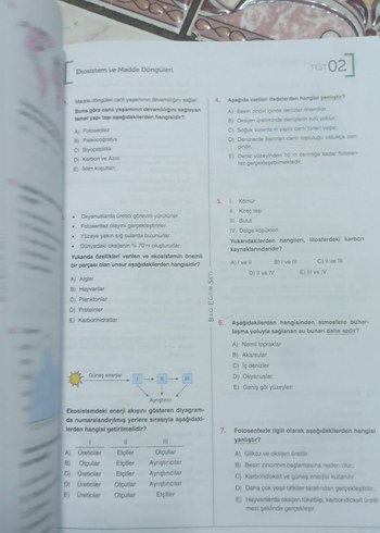 11. Sınıf Tekrar Kitabı - Tüm Dersler - Görsel 4