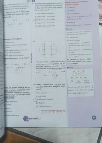 10. Sınıf Biyoloji Soru Bankası Kazanım Özetli - Görsel 4