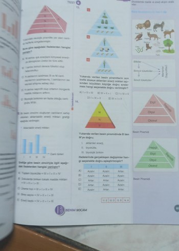 10. Sınıf Biyoloji Soru Bankası Kazanım Özetli - Görsel 2