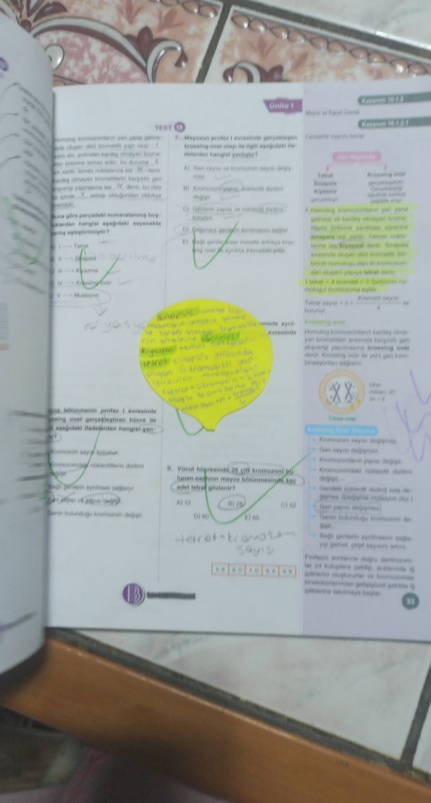 10. Sınıf Biyoloji Soru Bankası Kazanım Özetli - Görsel 5