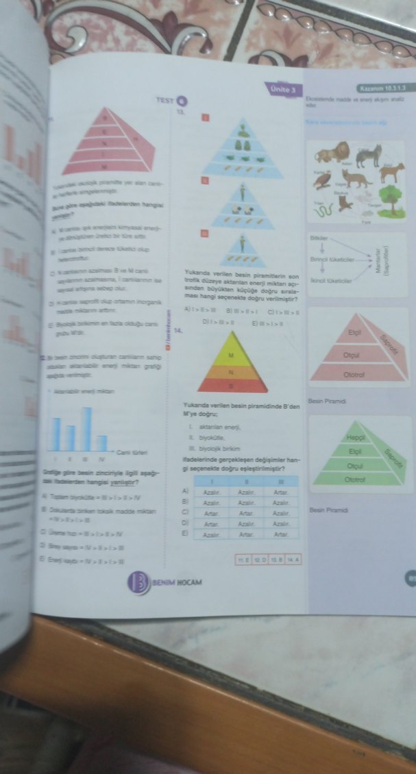 10. Sınıf Biyoloji Soru Bankası Kazanım Özetli - Görsel 2