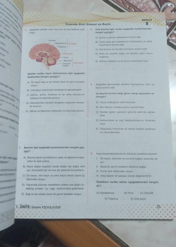 11. Sınıf Biyoloji Soru Bankası - Görsel 8