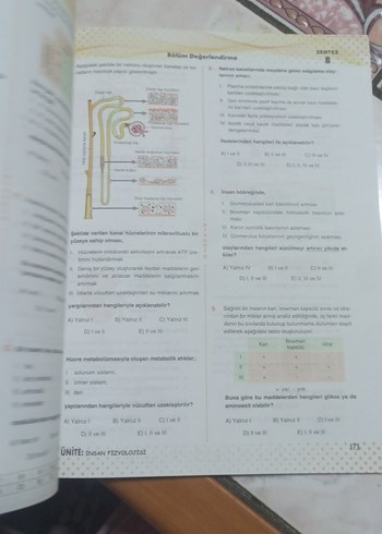 11. Sınıf Biyoloji Soru Bankası - Görsel 3