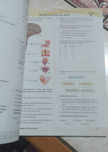 11. Sınıf Biyoloji Soru Bankası - Görsel 7