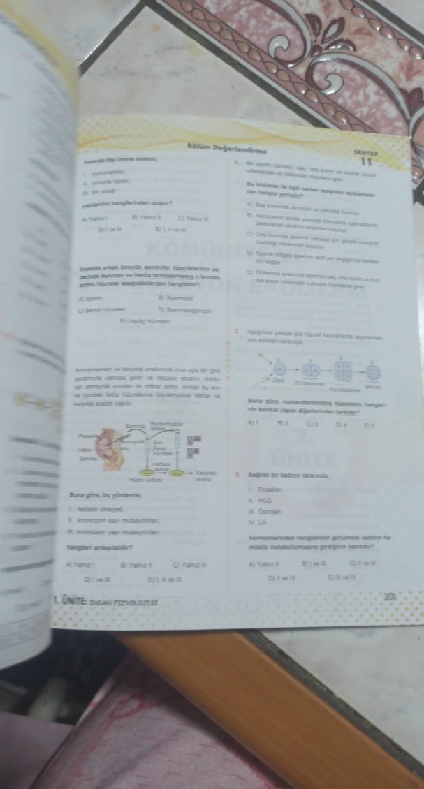 11. Sınıf Biyoloji Soru Bankası - Görsel 2