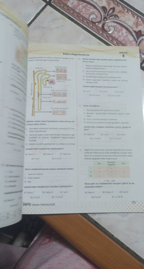 11. Sınıf Biyoloji Soru Bankası - Görsel 3