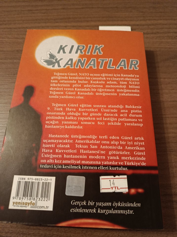 Kırık Kanatlar - Enver Günsel - Görsel 2